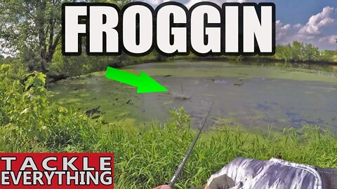 My GO TO Frog...Are YOU Using IT?!?!