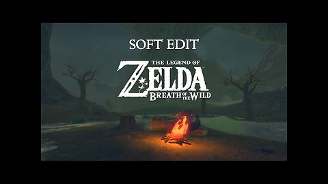 Relaxing with Zelda Breath of the Wild Music Night Ambience Sound hd