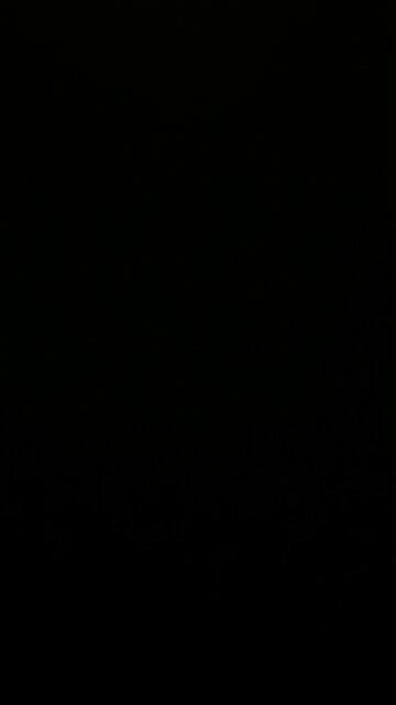 Net Zero carbon emissions