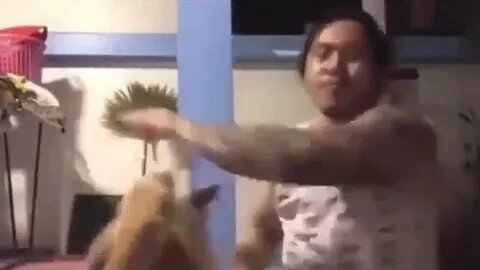 Dog fight #fyp #foryou #foryoupage #petsoftiktok #petlover #dog #doggo #kazbeatz #animals