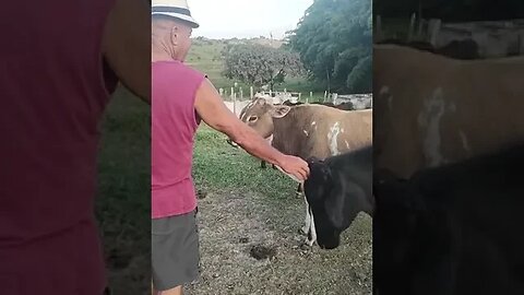 31 de dezembro de 2022
