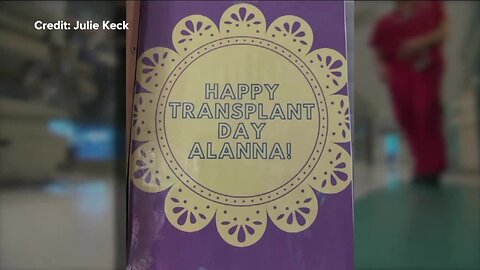 Williamsville mother's love shows no bounds