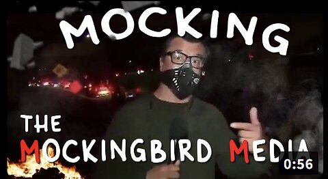 Mocking The Mockingbird Media