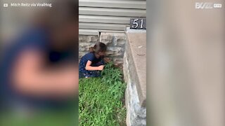 Menina tenta ajudar sapo mas corre muito mal!