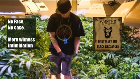 Colin Flaherty: Pot Farms Easy Targets for the Fellas 2018 No Face No Case