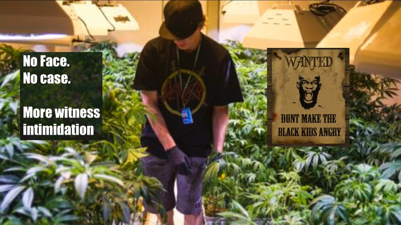 Colin Flaherty: Pot Farms Easy Targets for the Fellas 2018 No Face No Case