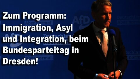 Zum Programm Immigration, Asyl und Integration, beim Bundesparteitag in Dresden der AfD