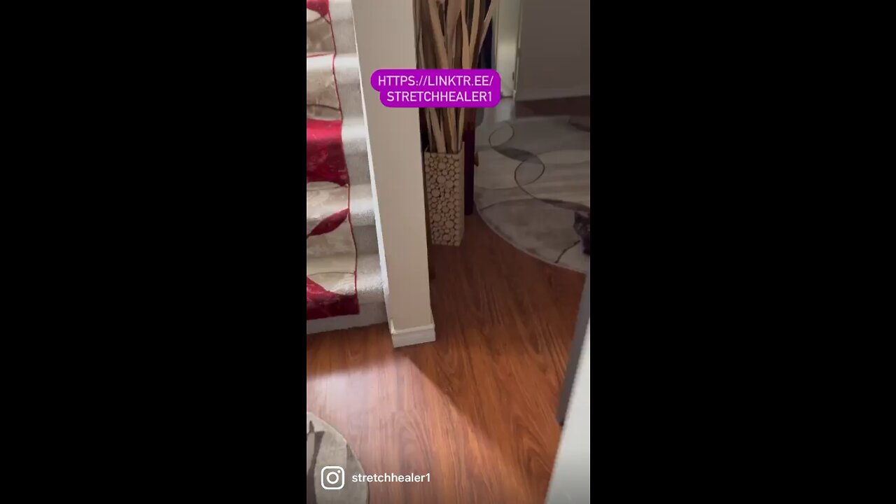 Stretching starts at home 🏡❤️🐈🤣👏