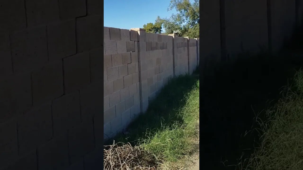 The wall may fall if repairs aren't made. #shortvideo