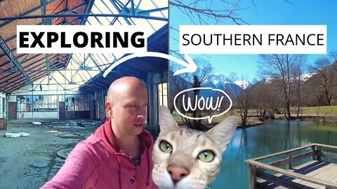 Epic Vanlife with Cat in France