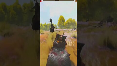 WTF Bannerlord Mods 627