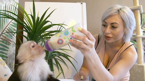 I Treat My Monkey Like A Baby | CUTE AS FLUFF