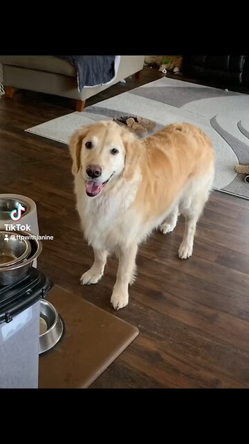 Life’s a Battle field