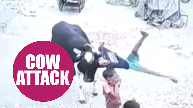 CCTV captures the moment an angry cow hooked a boy on its horn and flung him across a street