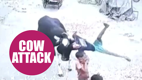 CCTV captures the moment an angry cow hooked a boy on its horn and flung him across a street