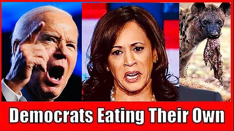 DEMS EAT THEIR OWN as they reveal INFIGHTING over the BIDEN TAKEDOWN! 🐯😂
