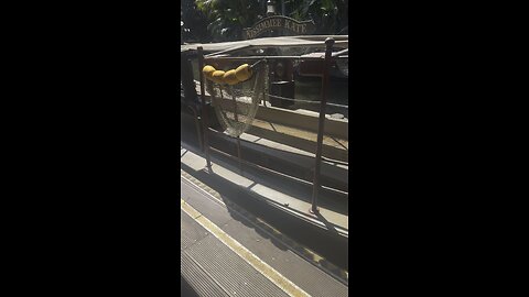 What ride is this?