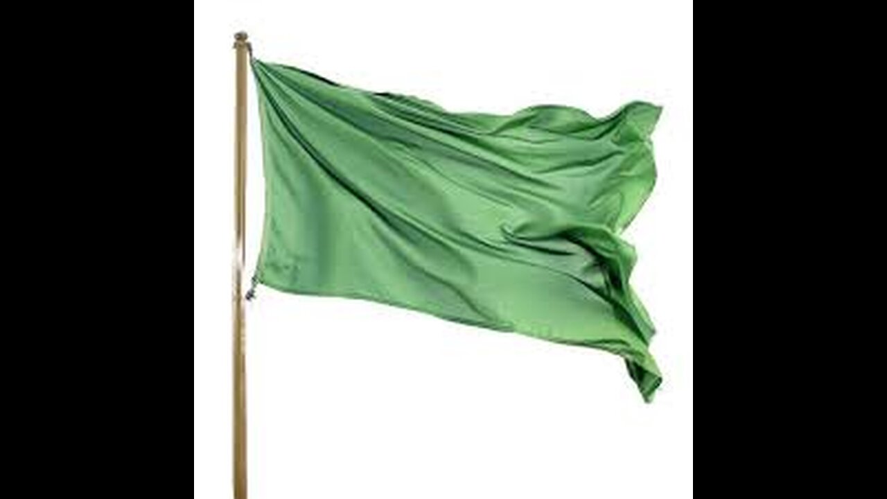 CAMPAIGN FINANCE CONNECTIONS, D29: GREEN FLAGS!