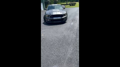 2013 GT500 and S550 GT Sounding off!