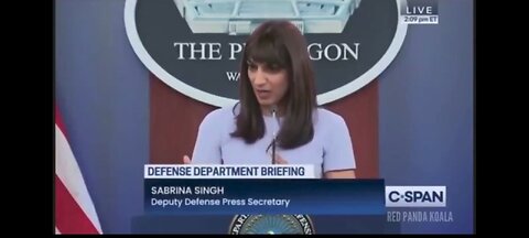 THE PENTAGON & THE DRONES