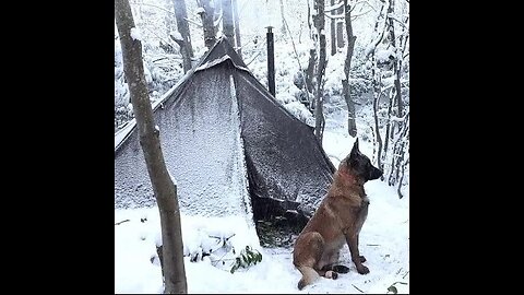 Winter Snowstorm Camping With My Dog