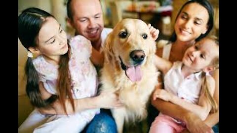 family and the animals beautiful thing to see