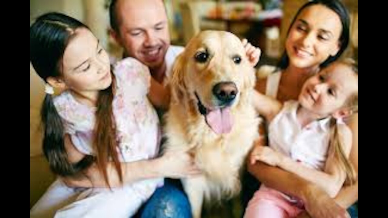 family and the animals beautiful thing to see