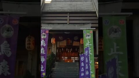Sanja mairi near Shimbashi Station Torimori Shrine Hibiya Shrine Shimbashi Yanagama Shrine #shorts
