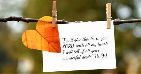 Authentic Gratitude VI