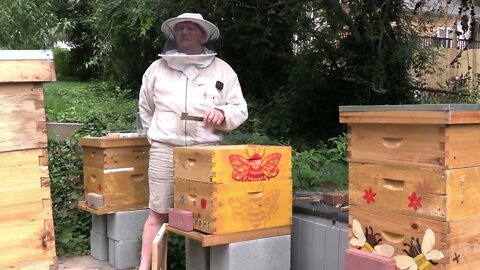 FIRST VARROA MITE TEST ARE WE OK OR IN TROUBLE !?!?!?!?!?