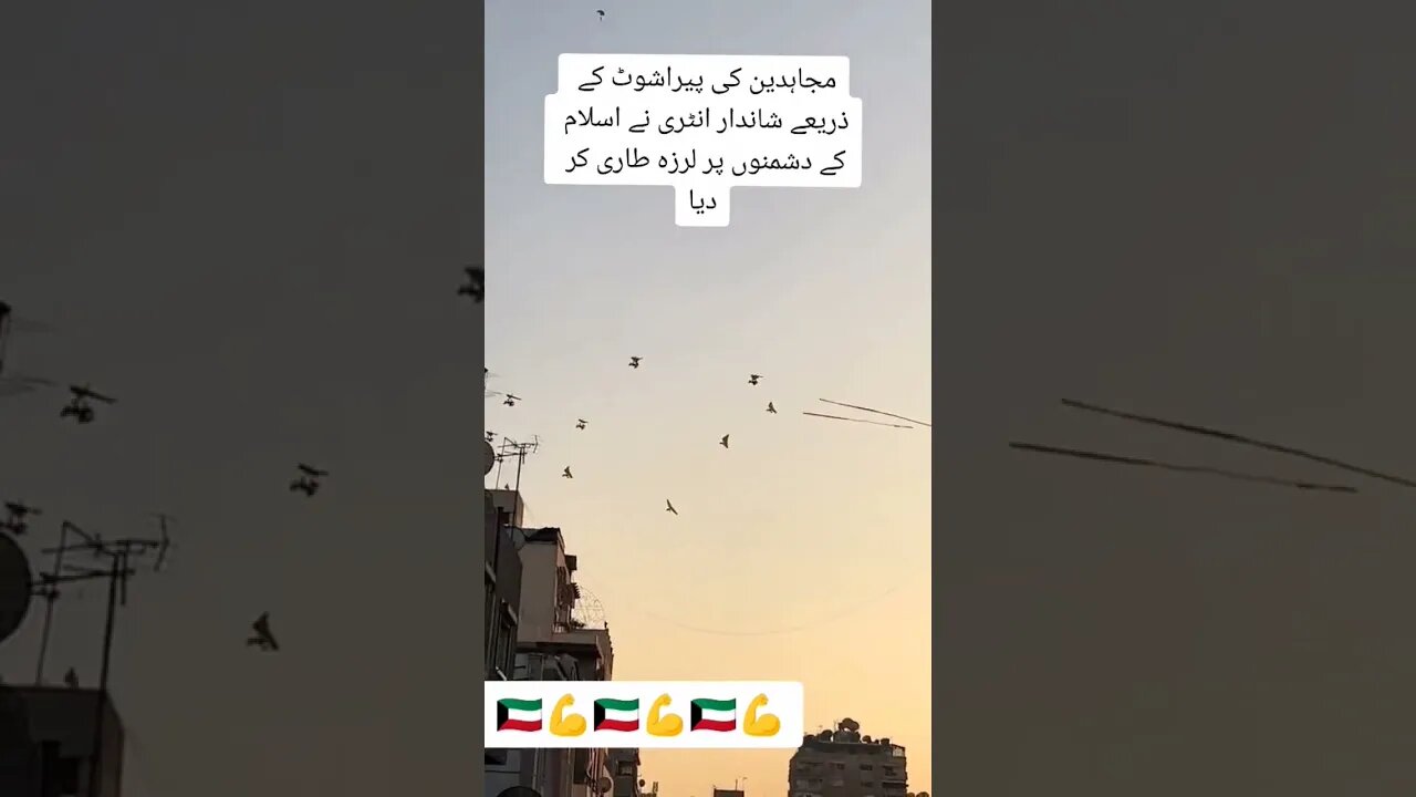 مجاہدین اسلام زندہ باد #pti #duet #shortvideo #viral #youtube #freepalestine #palestine #gaza
