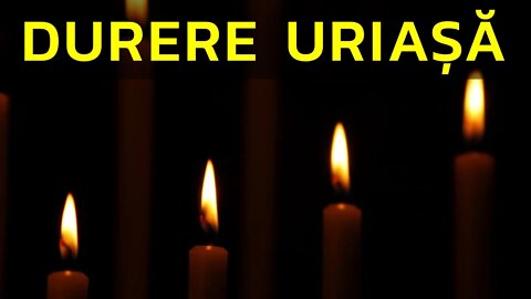 MARELE SPORTIV A MURIT