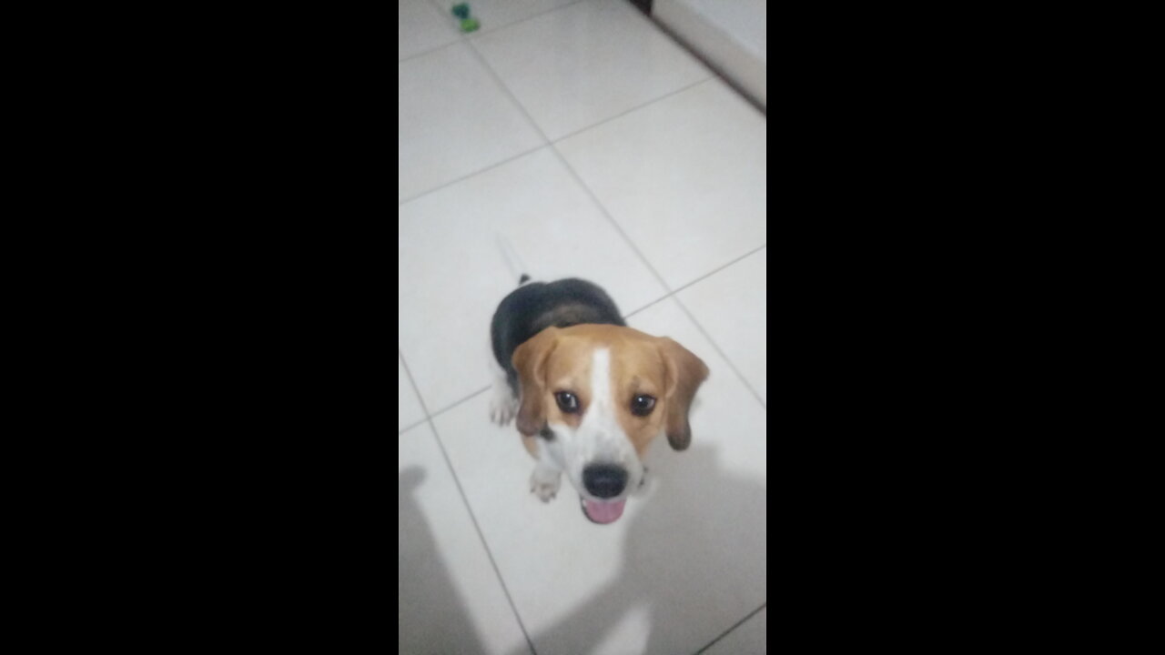 Yordan cazando conejo
