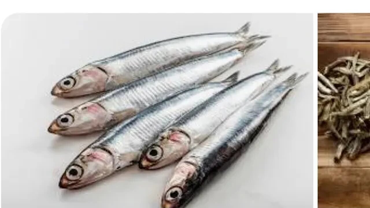 Anchovy IKAN BILIS IKAN TERI