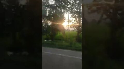 EVENING FARMS OF SOUNAULI, GORAKHPUR,UP