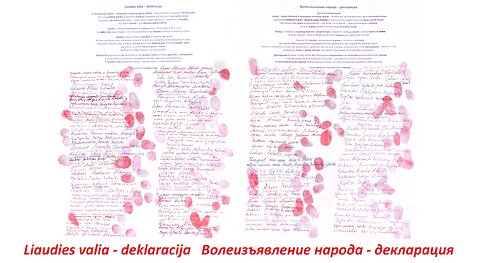 Liaudies valia - deklaracija Волеизъявление народа - декларация (skleiskit - platinkit!)