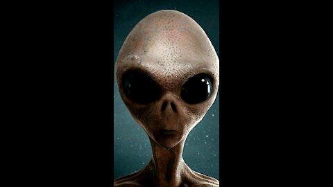 Alien Interview part 2