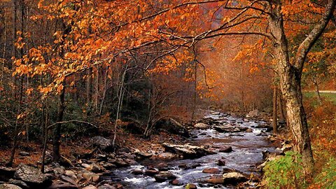 My Favorite Babbling Brook and Box Fan ASMR 10 hours v4