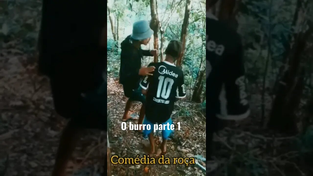 Zé da caça vai vender o burro🐴 pra comprar uma chinelo👟 pra Zé detinho😤#humor#comedia