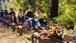 Rail Biking Through The Redwoods
