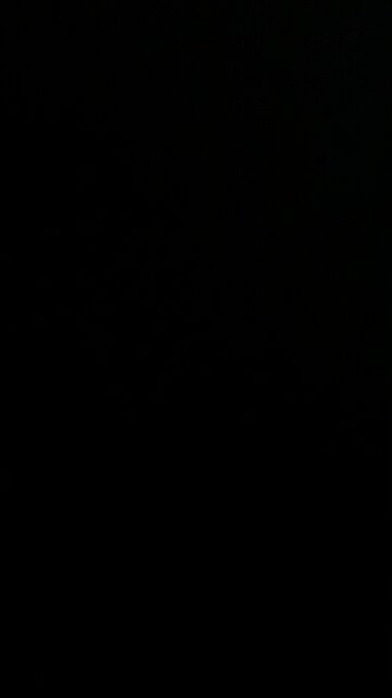 Second Amendment for Illegal Aliens