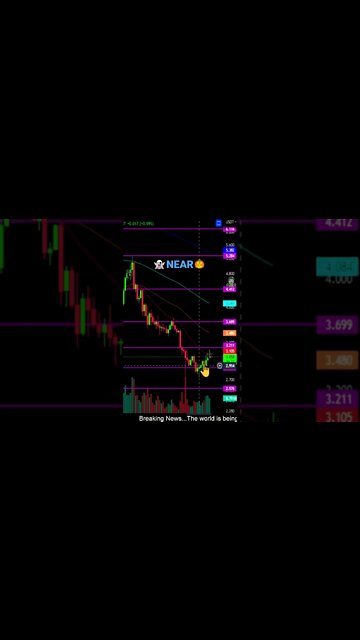 NEAR PROTOCOL!💎🙌🧟‍♂️