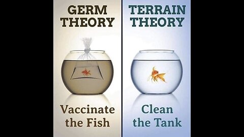 Sept. 11, 2024 PM / More on the Germ vs Terrain and commentary ...