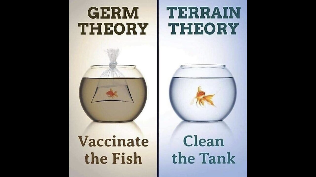 Sept. 11, 2024 PM / More on the Germ vs Terrain and commentary ...