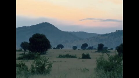 Child Sacrifice: Epidemic in Uganda🇺🇬
