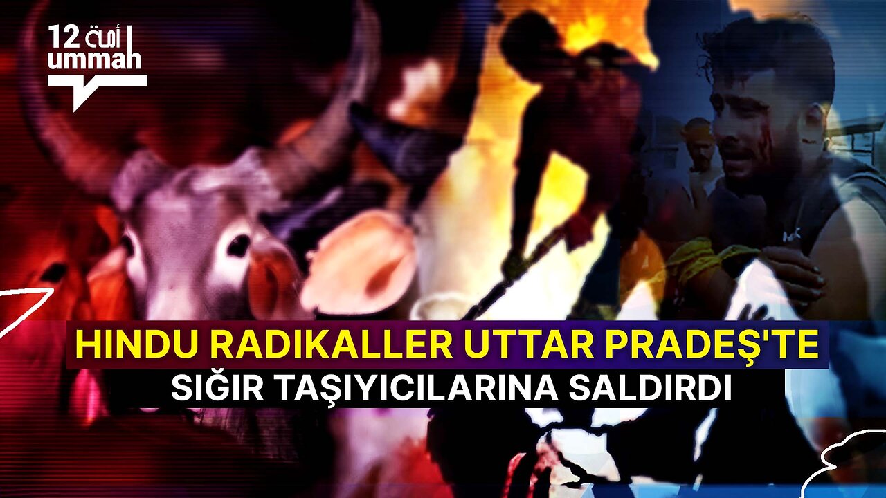 متطرفون هندوس يهاجمون ناقلي الماشية في أوتار براديش