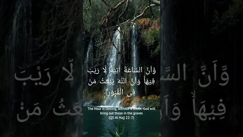Bacaan Surah Al Hajj ayat 7 #islam #islamicvideo #quran #onedayoneayat #shorts