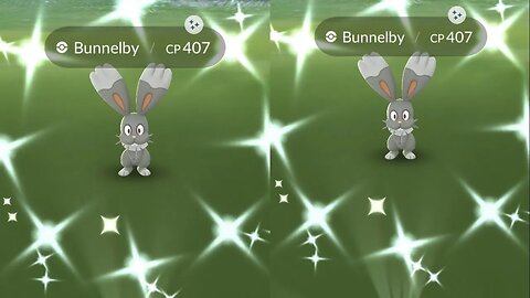 My Reaction Shiny Bunnelby