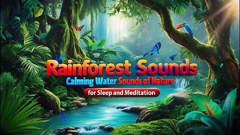 🌿 Rainforest Sounds | Calming Water Sounds of Nature for Sleep and Meditation 🌿