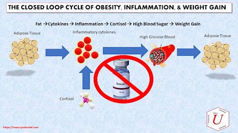 OBESITY: In The Age of Comorbidity